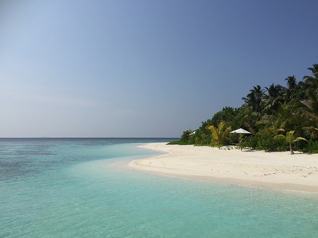 ile ile